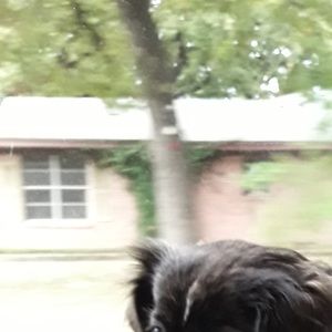 Meet your Posher, Dylan